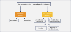 Grafik zur Organisation des Langzeitgedächtnisses in deklarative und non-deklarative Gedächtnissysteme